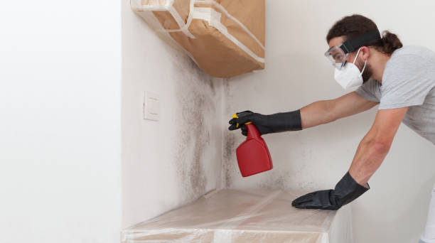 Professional Bathroom Mold Removal technician working in Hyde Park, PA